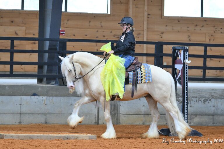 501062603_10237482988203184_2537581657480007634_n