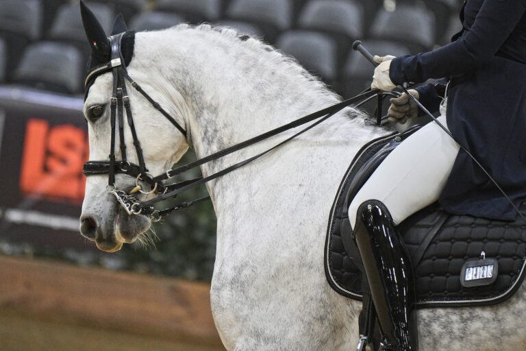 502468975_10237452388798218_3469484732880873990_n