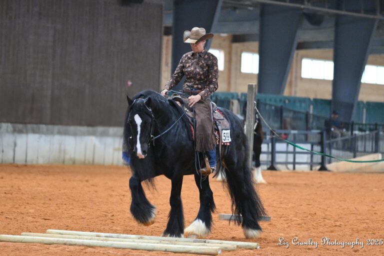 503102283_10237482988163183_371346953636598679_n